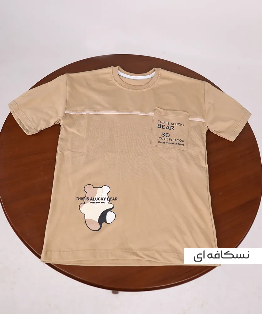 تیشرت تک مغزی T45045 - Image 2