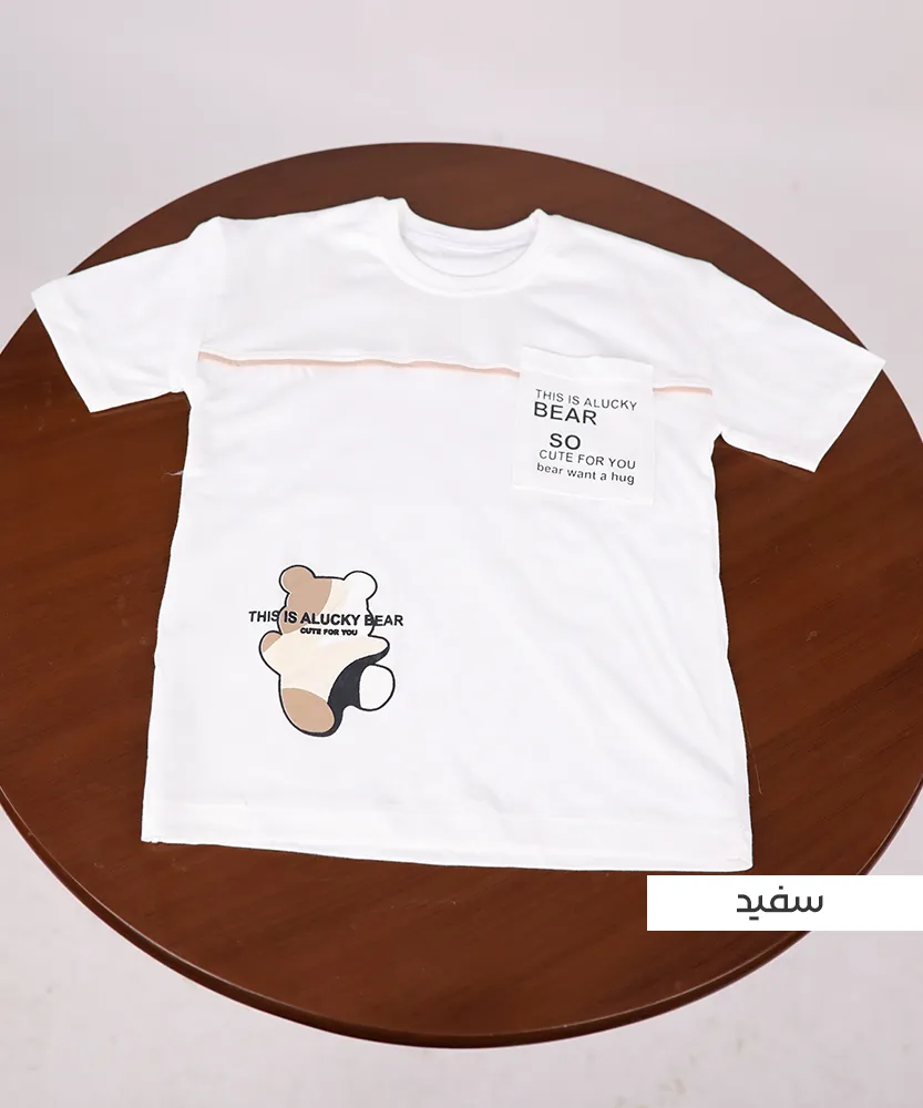 تیشرت تک مغزی T45045 - Image 3