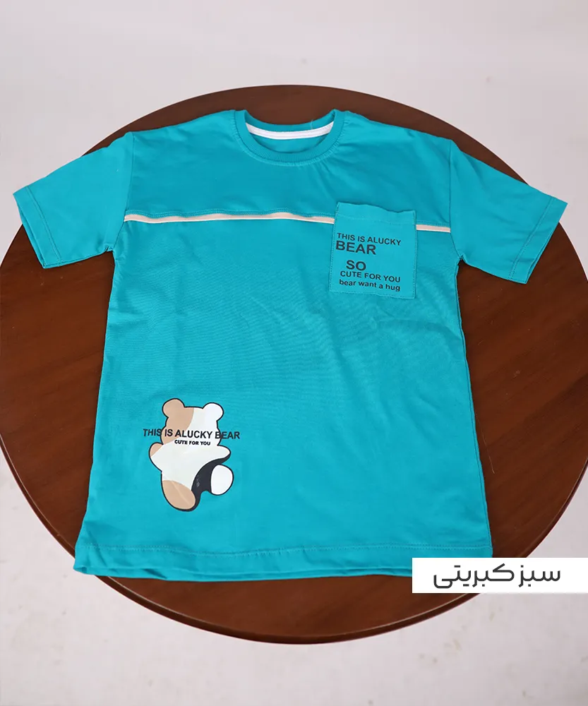 تیشرت تک مغزی T45045 - Image 4