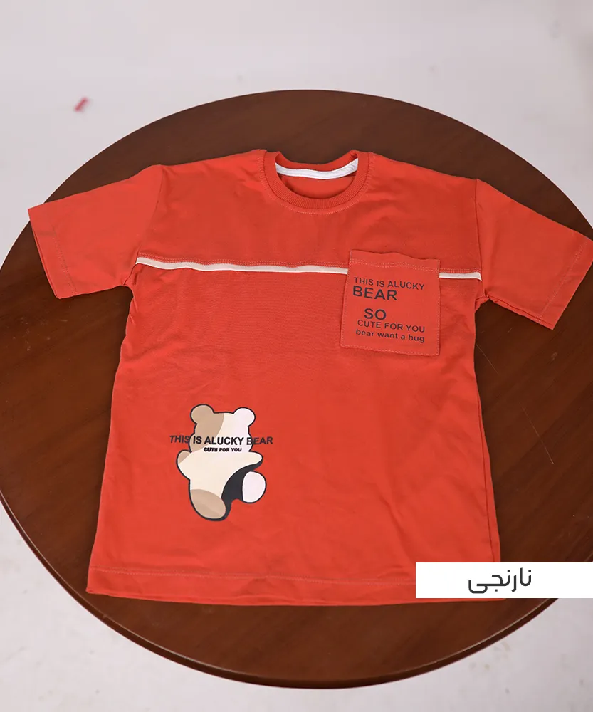 تیشرت تک مغزی T45045 - Image 5