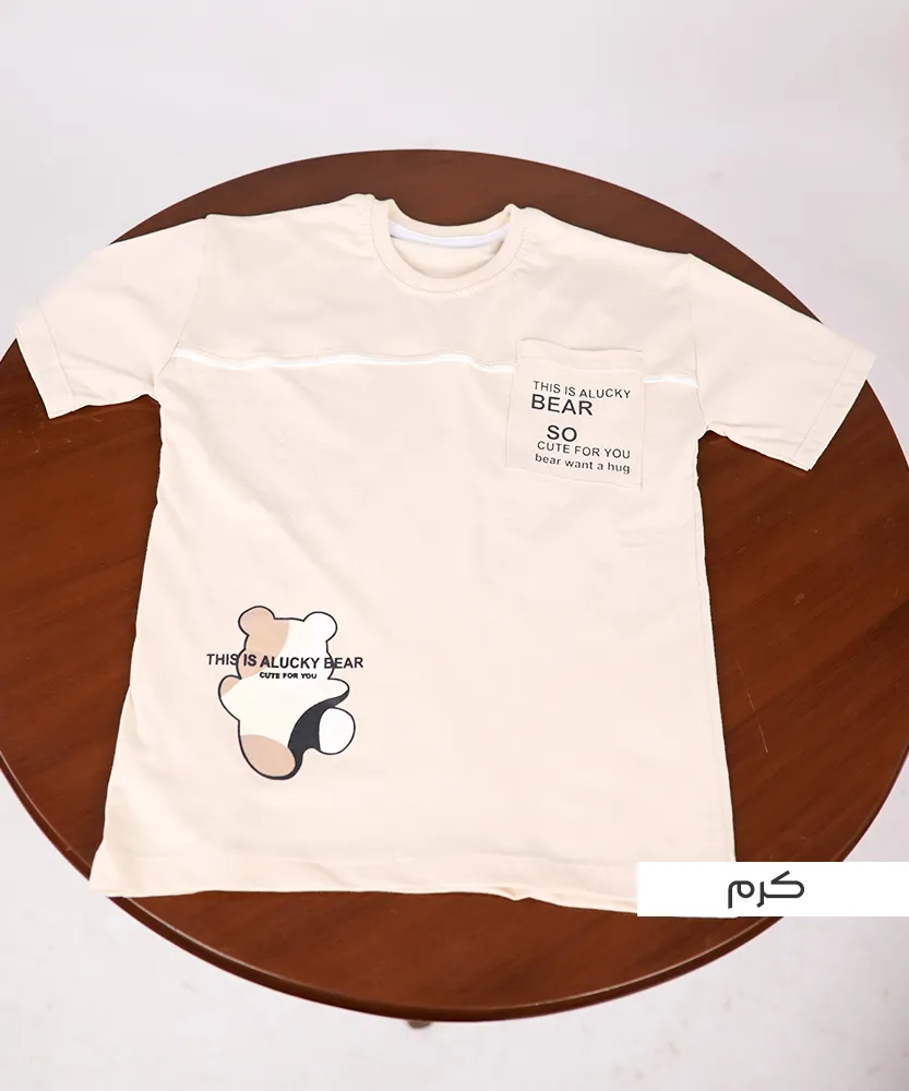 تیشرت تک مغزی T45045 - Image 6