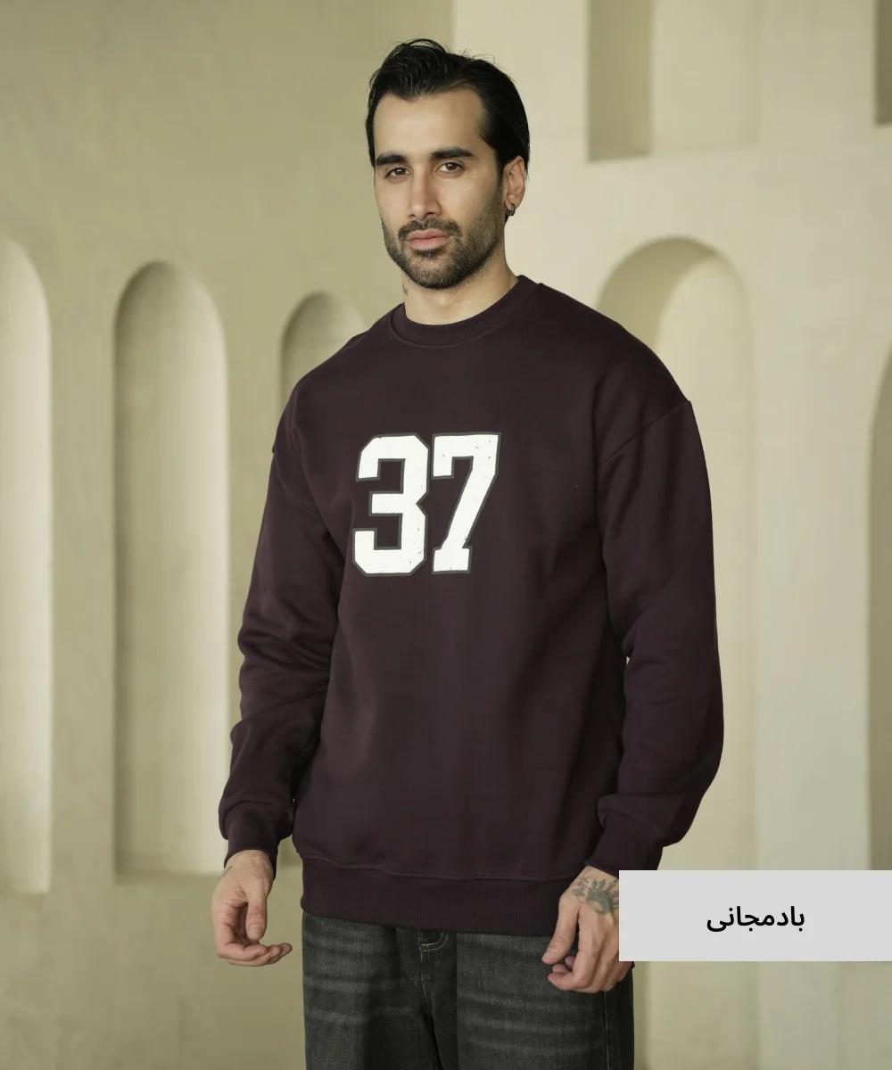 بلوز ساده مردانه سه نخ خارخورده B52048 - Image 3
